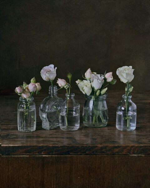 Photograph Albina Bougartchev Spring Flowers on One Eyeland